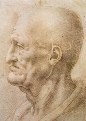 Profile of an old man